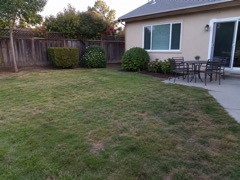 A backyard before the build